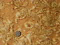 Tissu patchwork Batik ocre