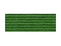 Fil mouliné spécial 25 DMC Art 117 Coloris 987 Vert basilic