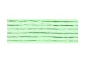 Fil mouliné spécial 25 DMC Art 117 Coloris 955 Vert pale